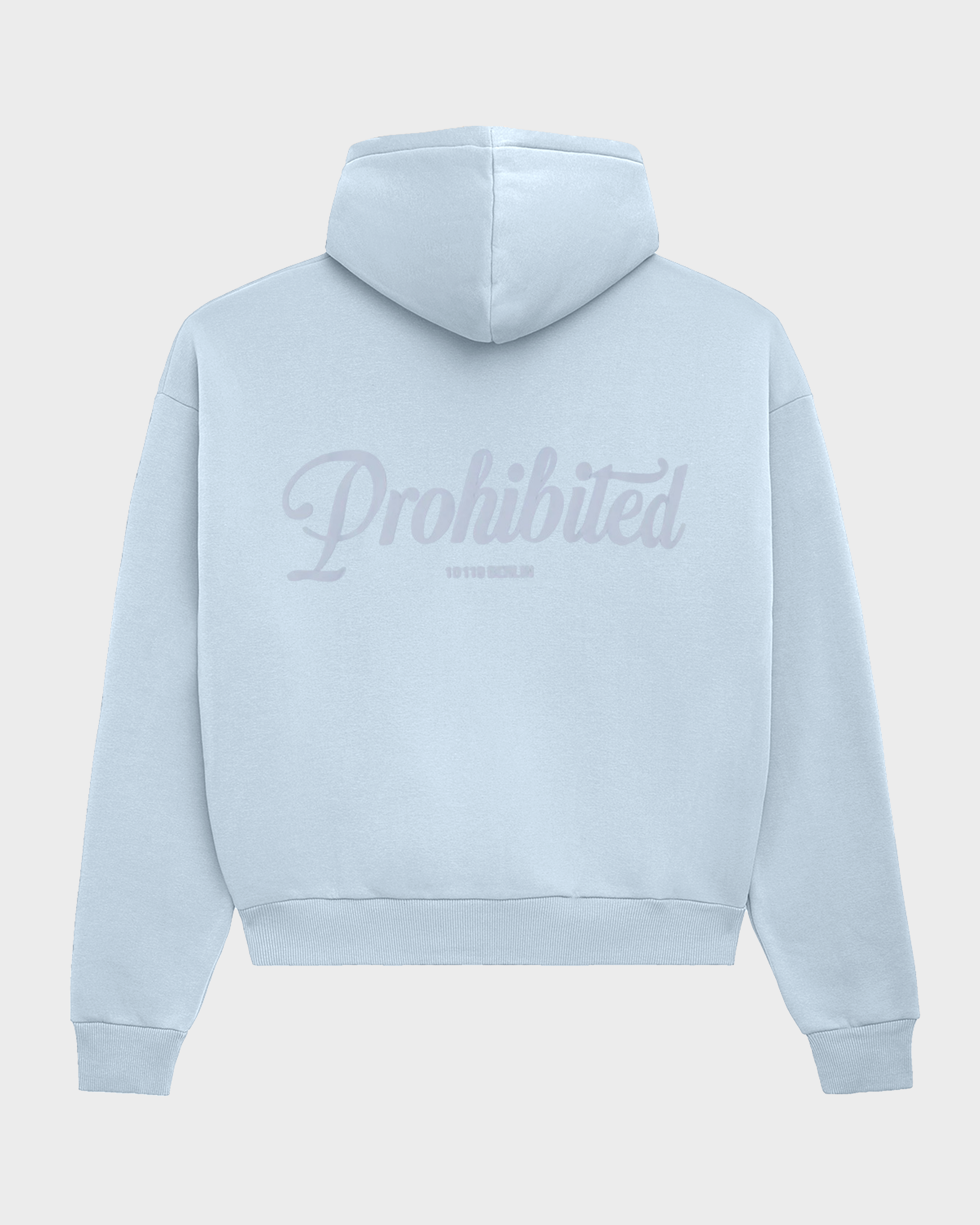 10119 Zip-Hoodie 2.0 Sky Blue