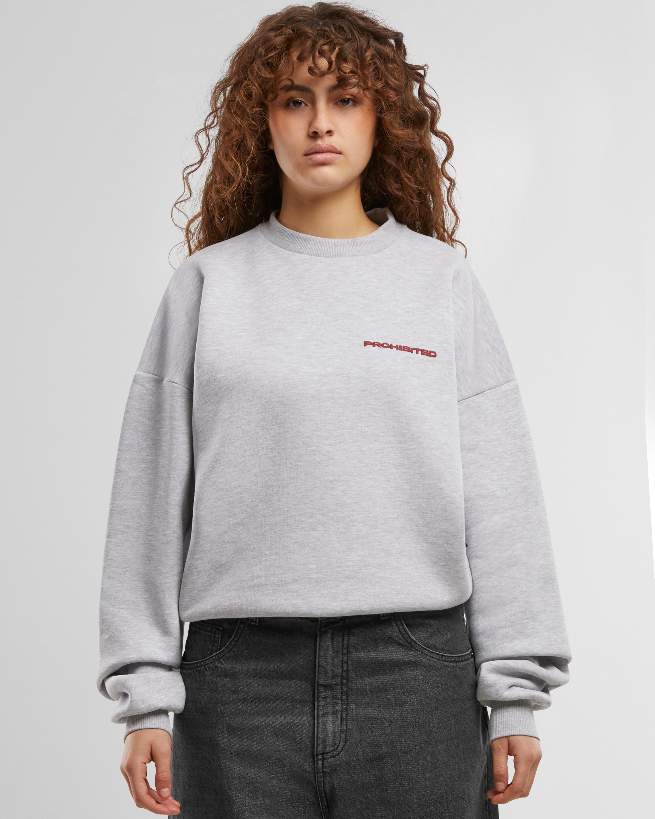 10119 Crew Neck Grey Melange