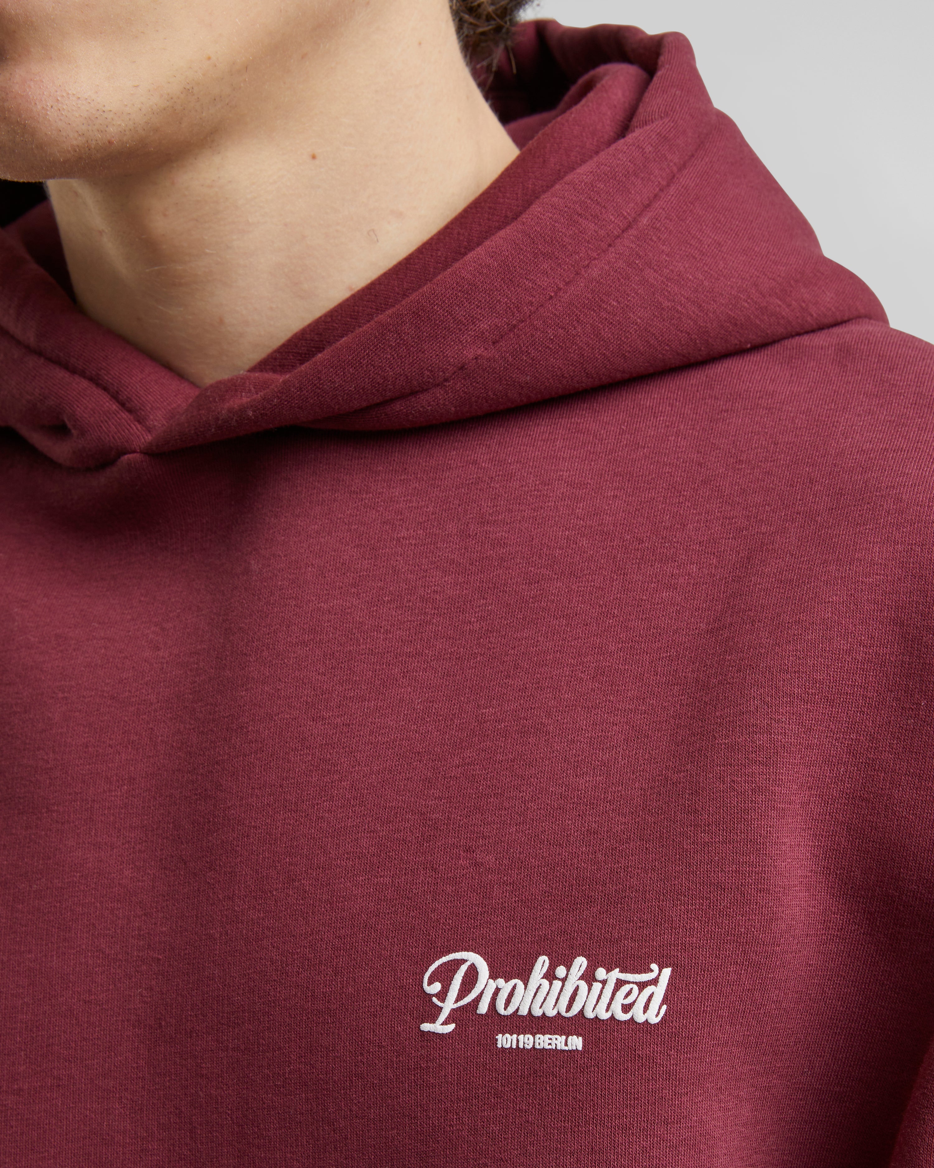 10119 Hoodie 2.0 Bordeaux