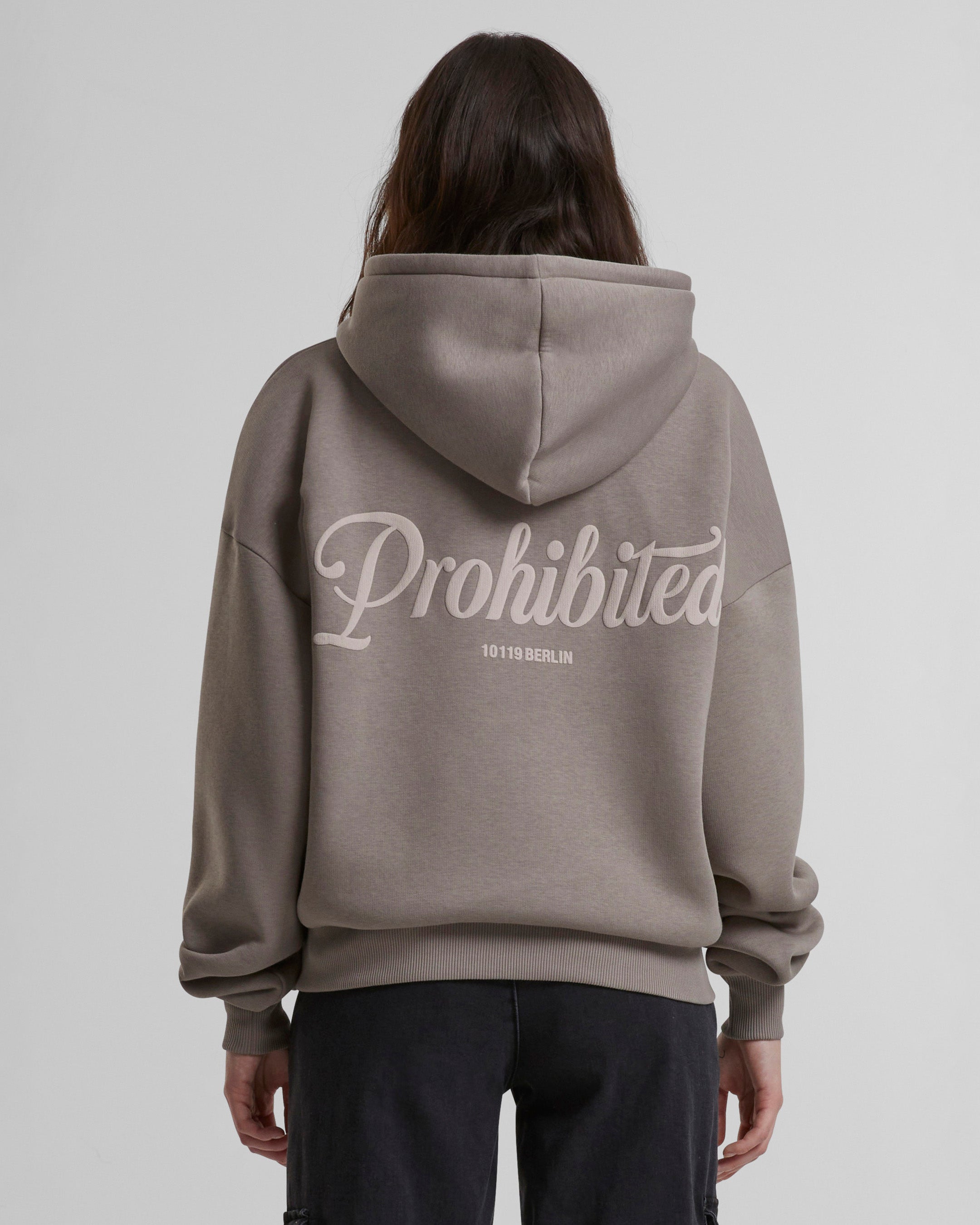 10119 Zip-Hoodie 2.0 Taupe