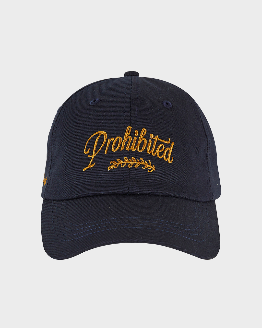 PB Garment Cap Navy